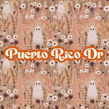 Cargar imagen en el visor de la galería, AI Files Falloween